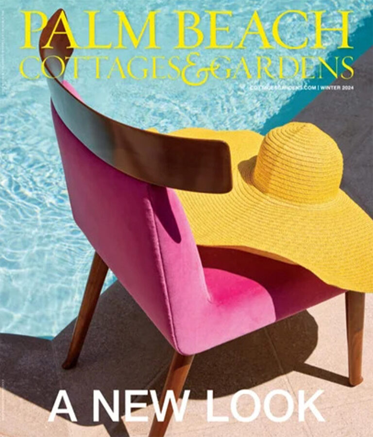 OP Blog 021925 8 768x900