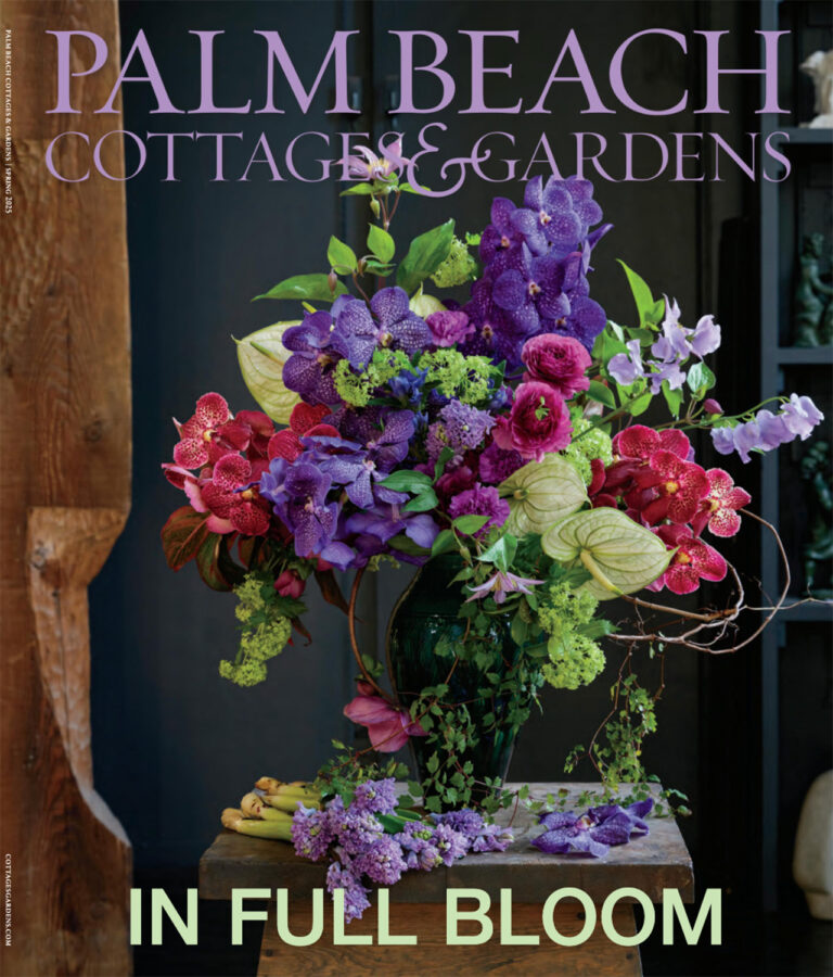 OP Blog 021925 9 768x900