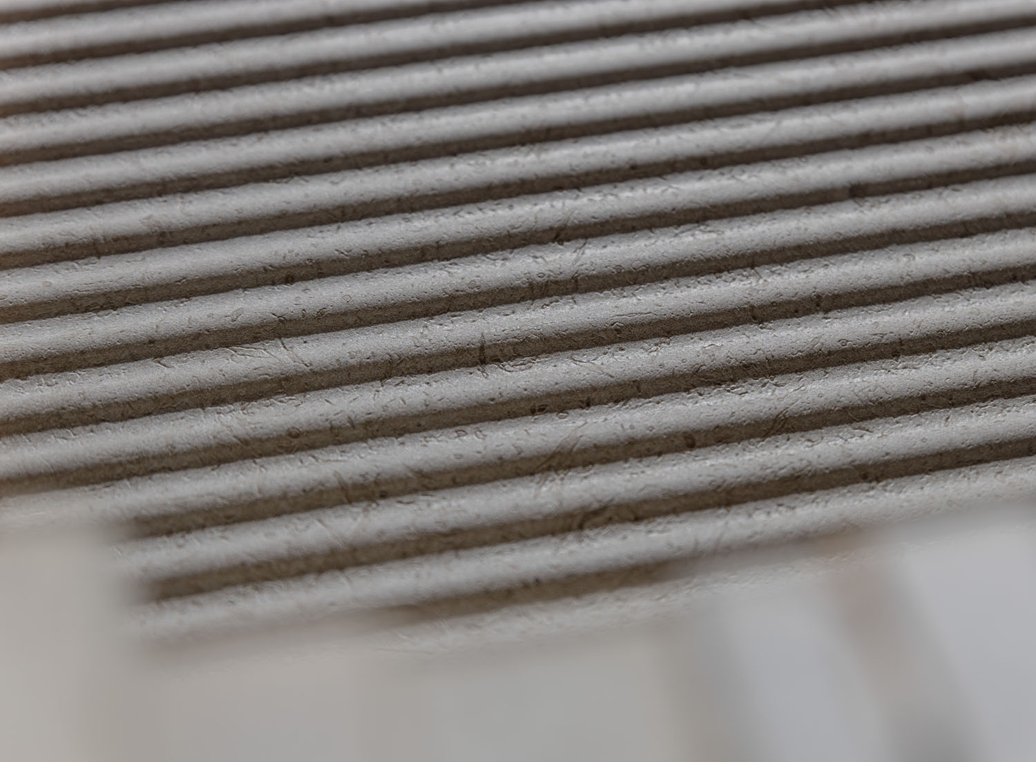 12448POTBENCCHRGBBSCH